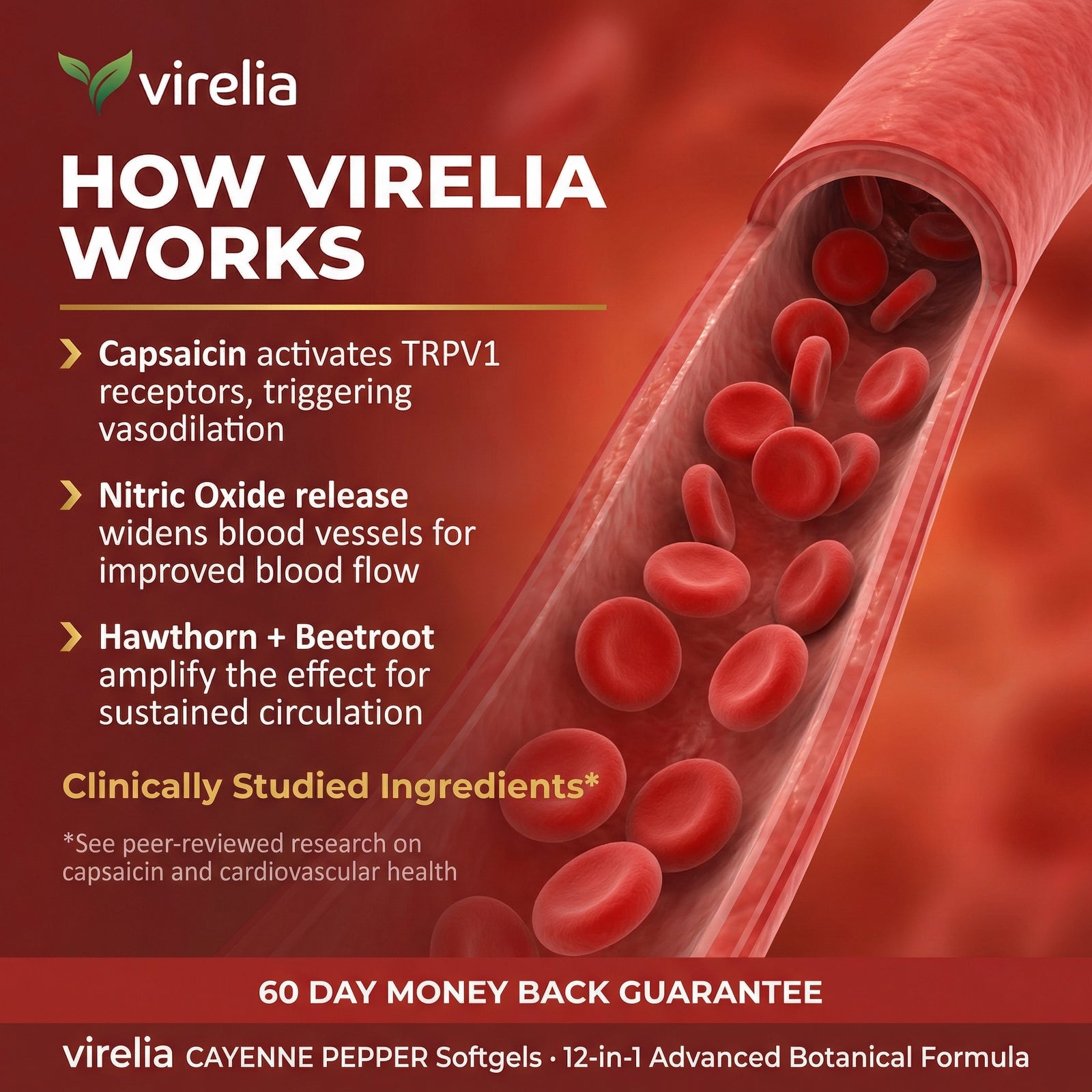 Heart & Circulation Support