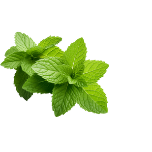 Peppermint Oil