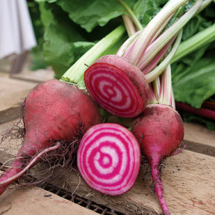 Beetroot