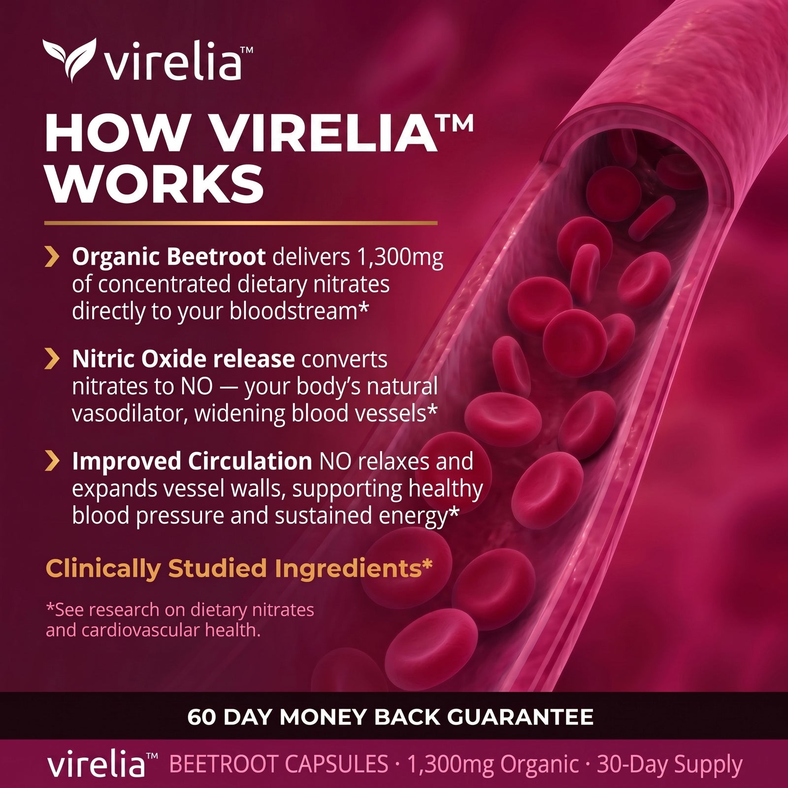 Blood Pressure & Circulation Support