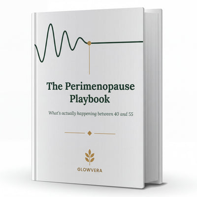 The Perimenopause Playbook (Ebook)
