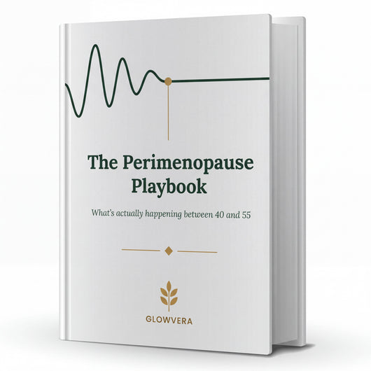 The Perimenopause Playbook (Ebook)