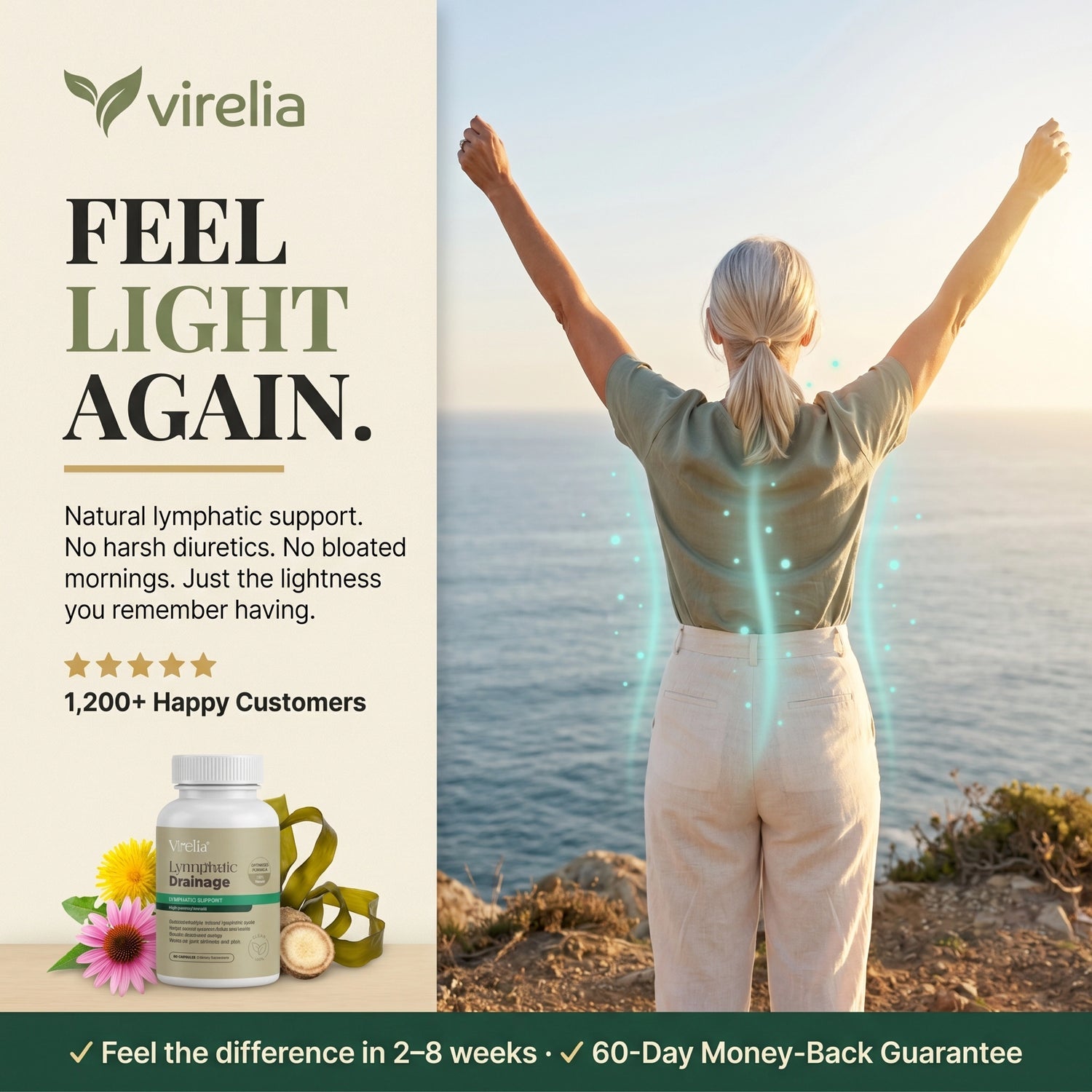 Immune & Vessel Wellness