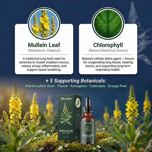 Virelia™ Mullein + Chlorophyll Lung Drops