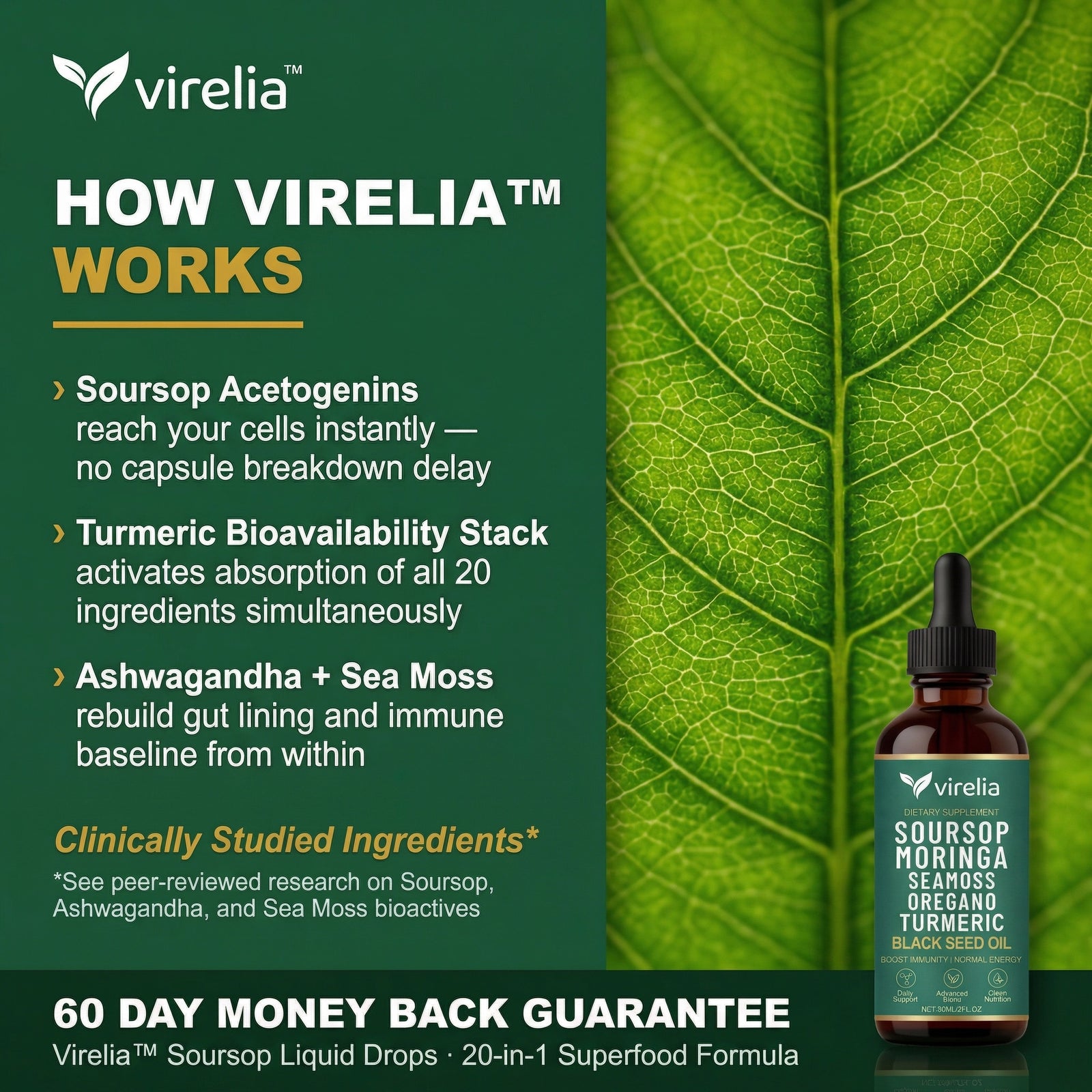 Energy & Daily Vitality Support