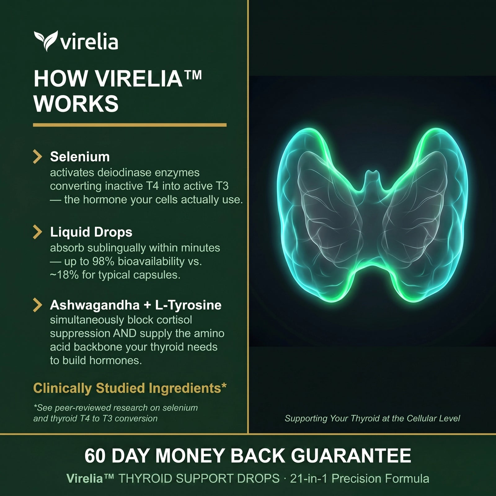 Thyroid & Hormone Support