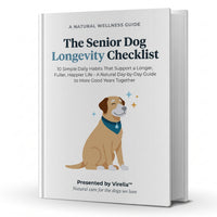 The Senior Dog Longevity Checklist