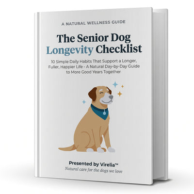 The Senior Dog Longevity Checklist