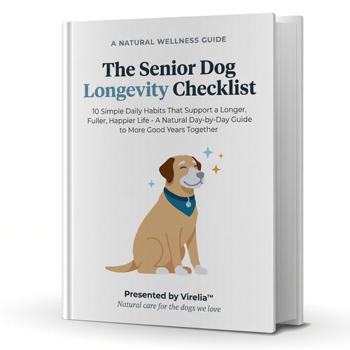 The Senior Dog Longevity Checklist