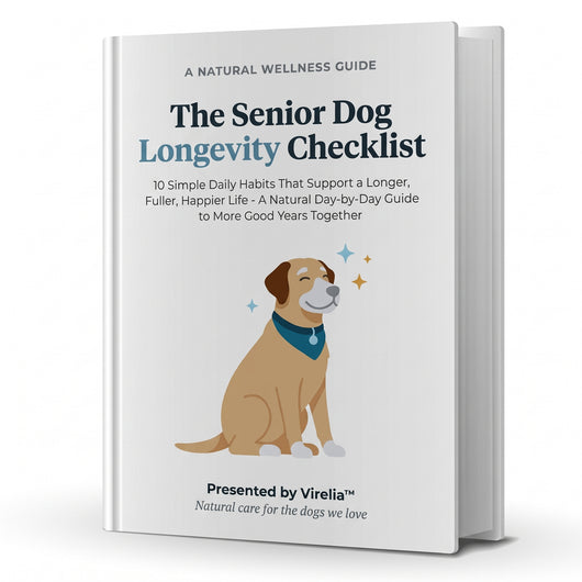 The Senior Dog Longevity Checklist